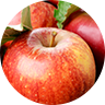 POMME POMME